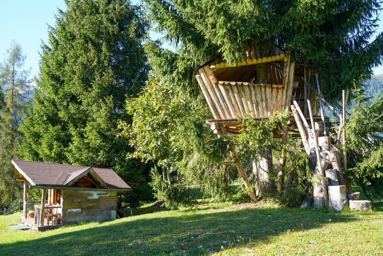Ferienwohnung Tana Del Picchio Falcade Exterior foto
